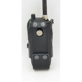 President Randy 3 carry case